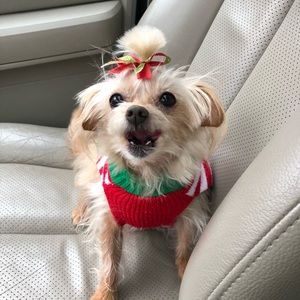 Meet your Posher, Michelle